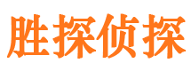 渝中市私家侦探